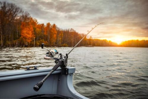 beginners-guide-to-fishin-frenzy