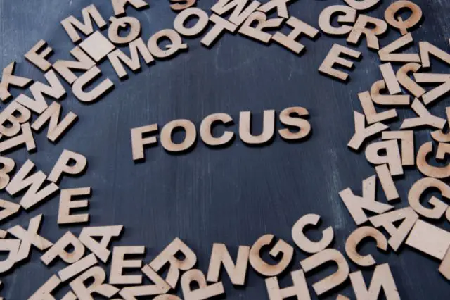 focus-synonyms